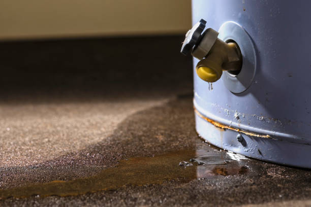  Lake Cassidy, WA Water damage restoration Pros