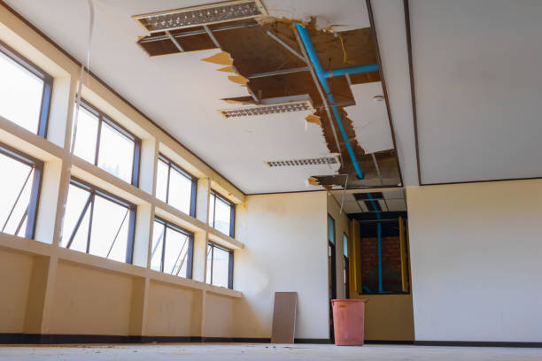 Best Water damage cleanup near me  in Lake Cassidy, WA