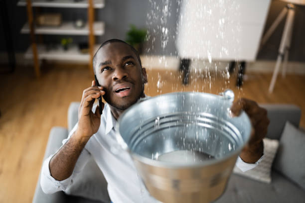 Trusted Lake Cassidy, WA Water damage restoration Experts