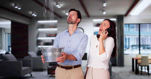 Best Carpet water damage restoration  in Lake Cassidy, WA