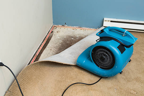 24/7 water damage repair in Lake Cassidy, WA